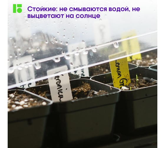 Набор перманентных маркеров Berlingo Multiline PE100 3 цвета, пулевидный, 1 мм, блистер BMc_31409