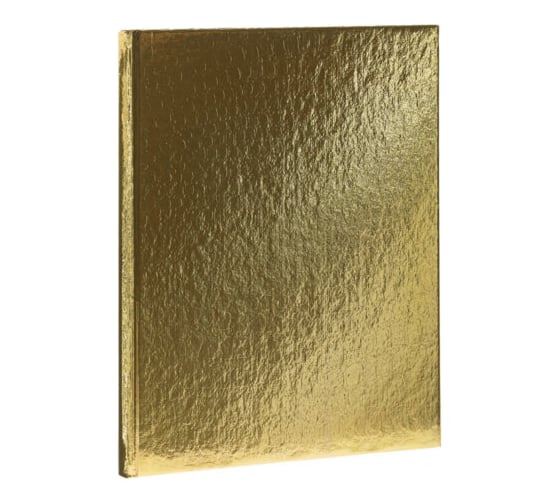 Бизнес-блокнот ОФИСМАГ А5 167x216 мм, 80 листов, твердый, бумвинил metallic, клетка, блок 5 цветов, HATBER, золото 084778 117634 1