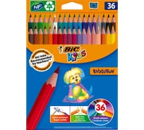 Цветные карандаши BIC Эволюшн, упаковка 36 950526