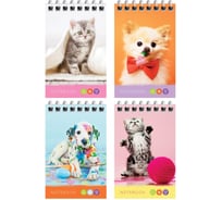 Блокнот ArtSpace Питомцы. Bright friends А7, 40 листов, на гребне Б7к40гр_24242