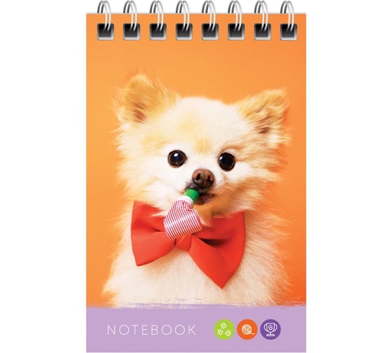 Блокнот ArtSpace Питомцы. Bright friends А7, 40 листов, на гребне Б7к40гр_24242