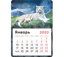 Отрывной календарь на магните OfficeSpace Mono White tiger 130х180 мм, склейка, 2022 г 319882