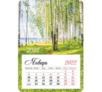 Отрывной календарь на магните OfficeSpace Mono Birch grove 95х135 мм, склейка, 2022 г 319871