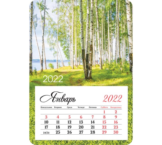 Отрывной календарь на магните OfficeSpace Mono Birch grove 95х135 мм, склейка, 2022 г 319871 1