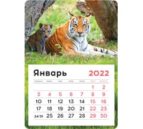 Отрывной календарь на магните OfficeSpace Mono Символ года 130х180 мм, склейка, 2022 г 319878