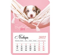 Отрывной календарь на магните OfficeSpace Mono Милый щенок 95х135 мм, склейка, 2022 г 319867