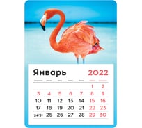 Отрывной календарь на магните OfficeSpace Mono Flamingos 130х180 мм, склейка, 2022 г 319883