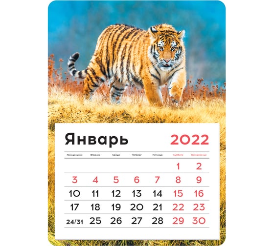 Отрывной календарь на магните OfficeSpace Mono Тигр 130х180 мм, склейка, 2022 г 319874