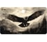 Коврик для мыши CACTUS Flying hawk 700x400x4мм (CS-MP-COR02XLL) 2077133 1