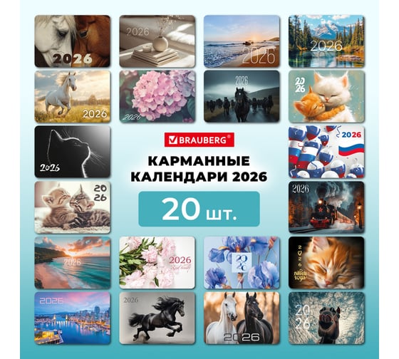Календарь карманный BRAUBERG на 2026г ДЭК, 64x93 мм, 20 шт 117302