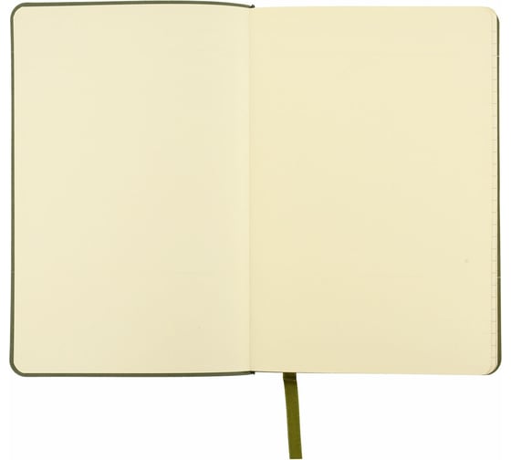 Записная книжка LOREX VINTAGE B6 оливковый, золотой срез 128 листов, линия мягкая обложка LXNBB6OL-VT