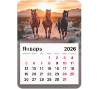 Календарь отрывной BRAUBERG на магните 2026, 130x180мм, склейка, Лошади 117291