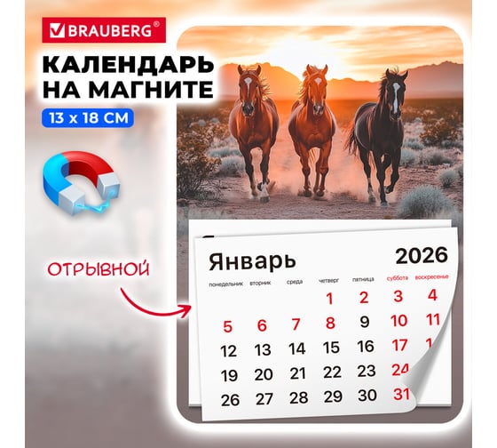 Календарь отрывной BRAUBERG на магните 2026, 130x180мм, склейка, Лошади 117291