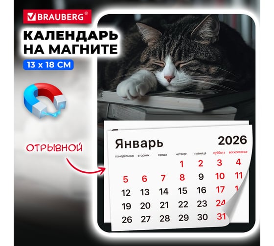 Календарь отрывной BRAUBERG на магните 2026, 130x180мм, склейка, Спящий кот 117292