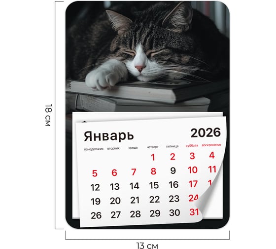 Календарь отрывной BRAUBERG на магните 2026, 130x180мм, склейка, Спящий кот 117292