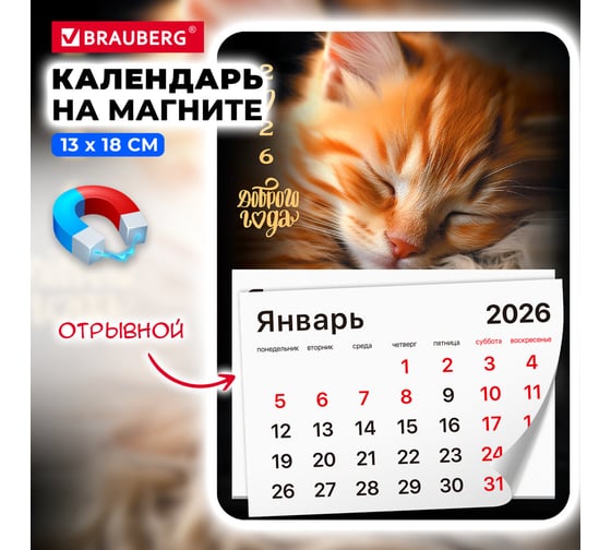 Календарь отрывной BRAUBERG на магните 2026, 130x180мм, склейка, Котик 117289