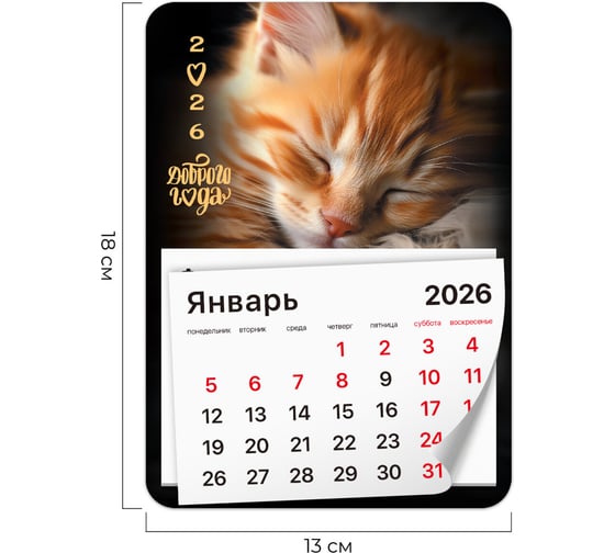 Календарь отрывной BRAUBERG на магните 2026, 130x180мм, склейка, Котик 117289