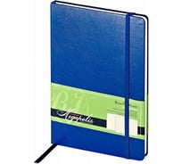 Блокнот Bruno Visconti MEGAPOLIS JOURNAL формат А5, 100 листов, синий 3-101/01
