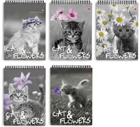 Блокнот Bruno Visconti КОТЯТА гребень, формат А6, 40 листов 5 видов 3-40-028