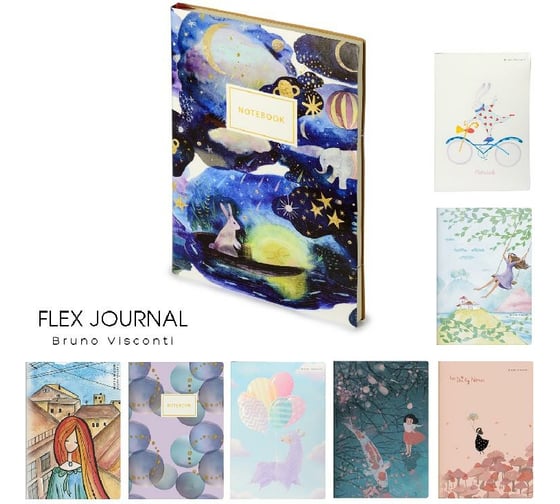Блокнот Bruno Visconti FLEX JOURNAL формат А5, 96 листов, линейка 8 видов 3-220
