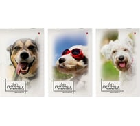 Блокнот Bruno Visconti ЩЕНОЧКИ формат А5, 40 листов 3 вида 3-40-578