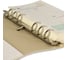 Блокнот Bruno Visconti DAILY JOURNAL формат А5, 160 листов, со сменным блоком на кольцах 3-565 5