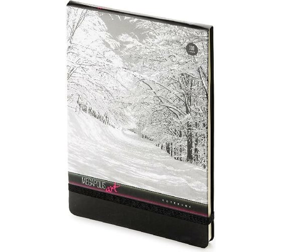 Блокнот Bruno Visconti MEGAPOLIS JOURNAL формат А5, 100 листов, вертикальный на резинке клетка 3-475/01