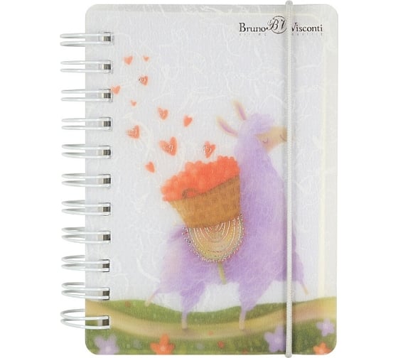 Блокнот Bruno Visconti CUTE JOURNAL формат А7, 80 листов, на гребне с резинкой линейка 3-573/02 1