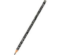 Чернографитовый карандаш Bruno Visconti ArtGraphix НВ пластиковый корпус 21-0038/06