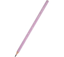 Чернографитовый карандаш Bruno Visconti ArtGraphix Zefir НВ пластиковый корпус 21-0049/04