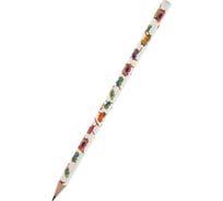 Чернографитовый карандаш Bruno Visconti HappyGraphix ЯРКИЕ СОВЫ НВ 21-0030/01