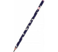 Чернографитовый карандаш Bruno Visconti HappyGraphix Magic Night НВ 21-0030/70