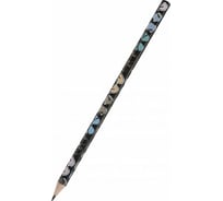 Чернографитовый карандаш Bruno Visconti HappyGraphix Дамские штучки Очки НВ 21-0030/71