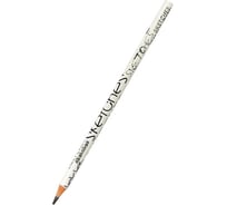 Чернографитовый карандаш Bruno Visconti ArtGraphix НВ пластиковый корпус 21-0038/04