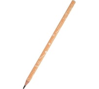 Чернографитовый карандаш Bruno Visconti ArtGraphix Zefir НВ пластиковый корпус 21-0049/01