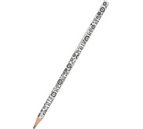 Чернографитовый карандаш Bruno Visconti ArtGraphix НВ пластиковый корпус 21-0038/16