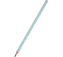 Чернографитовый карандаш Bruno Visconti ArtGraphix Zefir НВ пластиковый корпус 21-0049/05