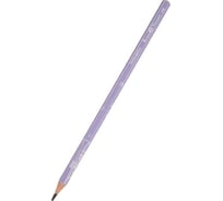 Чернографитовый карандаш Bruno Visconti ArtGraphix Zefir НВ пластиковый корпус 21-0049/09