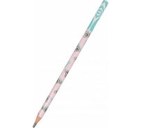 Чернографитовый карандаш Bruno Visconti ArtGraphix Zefir НВ пластиковый корпус 21-0049/17