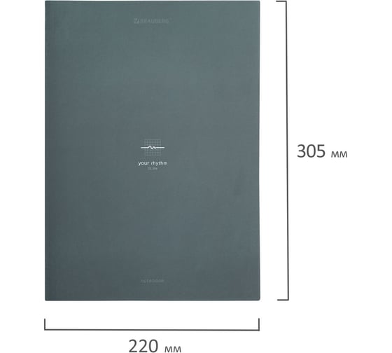 Тетрадь на кольцах BRAUBERG БОЛЬШАЯ, А4, 215x305мм, 100л, твердый картон, клетка, Rhythm, 405407