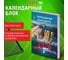 Календарь настольный перекидной Staff 2026г, 160л, блок газетный 2 краски, ПРИРОДА 20 шт 117428 2