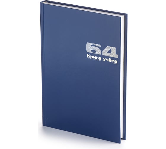 Книга учета Bruno Visconti Бумвинил, А4, 64 листа, линейка 7-64-140 1