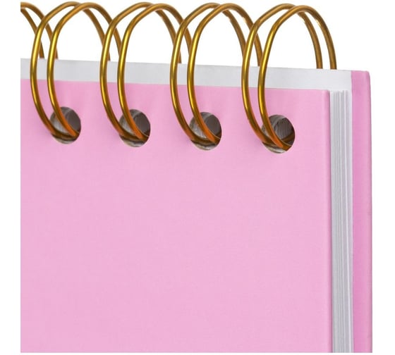 Блокнот Attache А5 Miss Office 80 л, клетка гребень, розовый с золотом 2142876