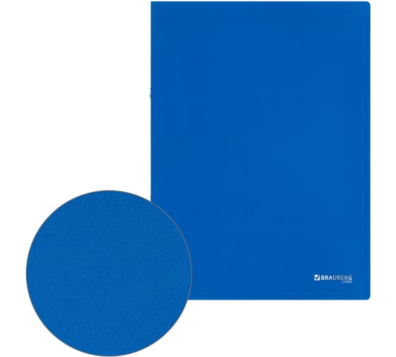 Папка на 2 кольцах BRAUBERG А4 UNIVERSAL, 25 мм, синяя, до 170 листов, 0,5 мм 273030