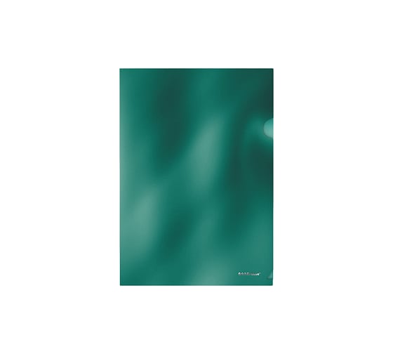 Пластиковая папка-уголок ErichKrause Glossy Ice Metallic, A4, ассорти 53317