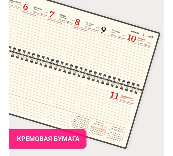 Планинг датированный 2026 BRAUBERG 305x140мм, Iguana, под кожу, черный, 117224