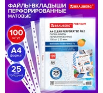 Папки-файлы перфорированные BRAUBERG А4 PREMIUM, КОМПЛЕКТ 100 шт., матовые, 25 мкм 273000