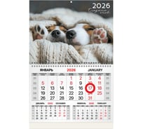 Календарь квартальный BRAUBERG 2026г, 1 блок 1 гребень, магнит курсор, мел.бум, Носики, 116922