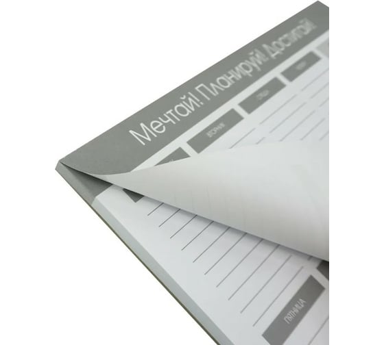Недатированный планер Listoff ПНС2245505