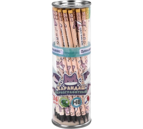 Карандаш BRAUBERG чернографитный с принтом кросс-серия МИЛЫЕ КОТЫ, КОМПЛЕКТ 36 ШТ., HB, ластик, ассорти, 182107
